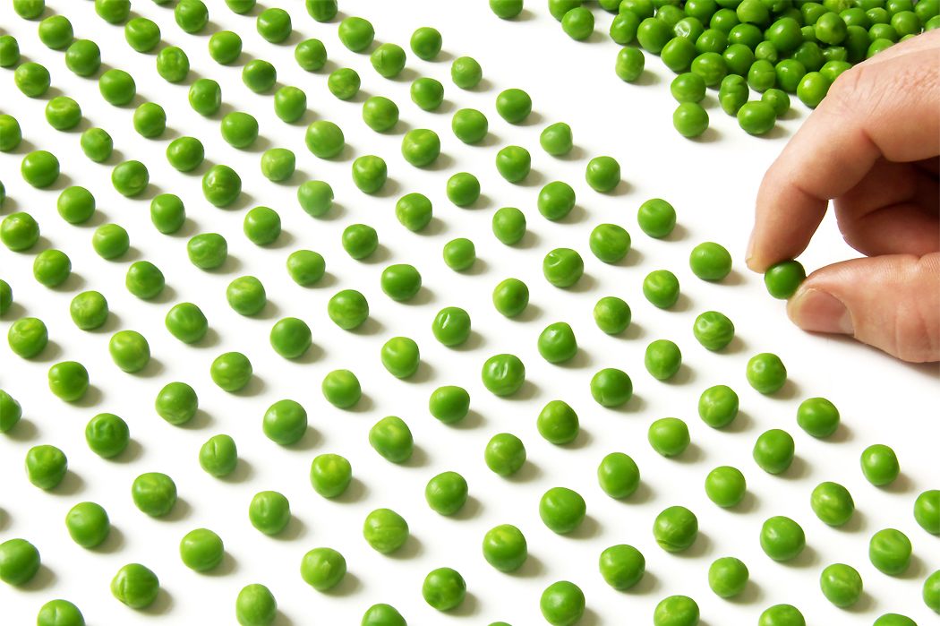 ����������-������������� ������������