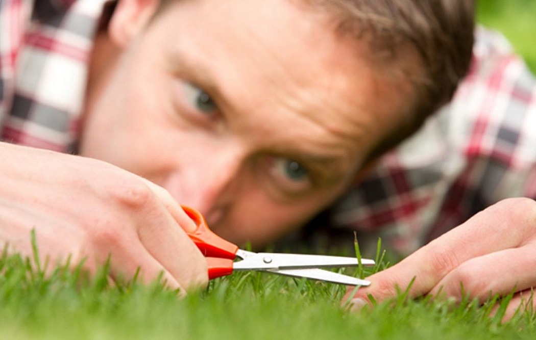 ����������-������������� ���������