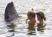 ���� � ��������