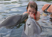 ���������������