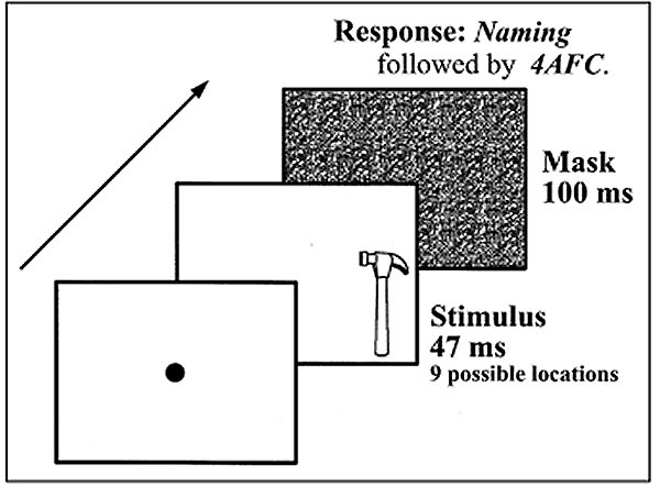 ������������ �����������, ��������������� �������, 25-� ����