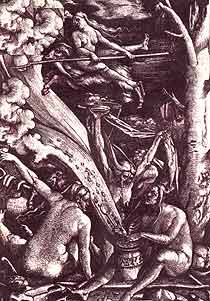 ��������, ���������, ����������