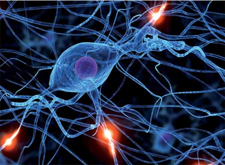 ������������ �������