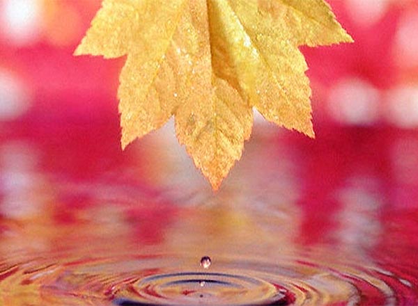 ��� ������ ����