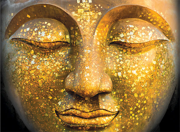 �������������