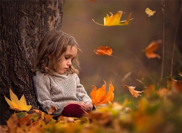 ����� �� IQ