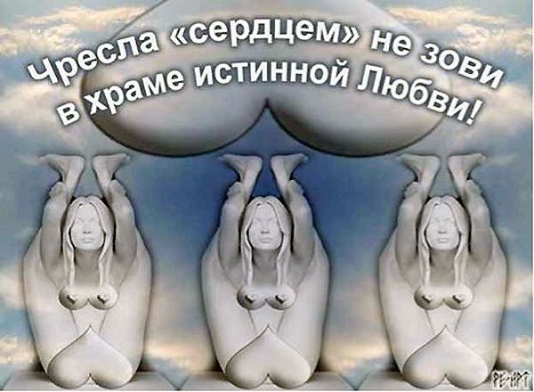 ����� �������������