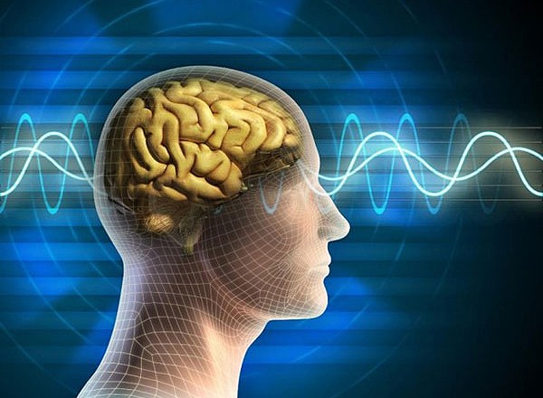 ����������� ���������