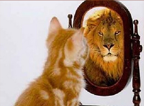 ��� ����� ����������� ��� ���