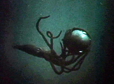 ����� ���� �������, �����