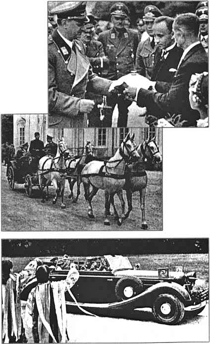 ������� ��������� �� ������ ������