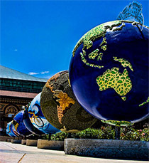 ����������������� ���������