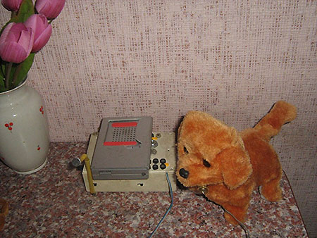 разрешение семейных конфликтов