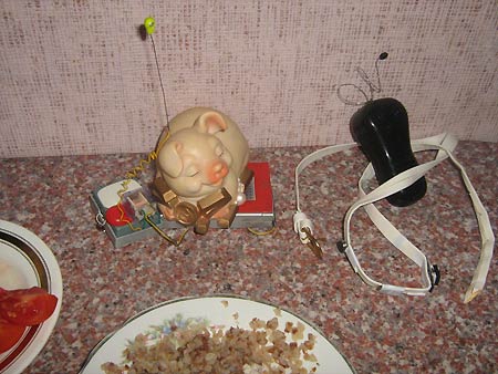 ������������ ����������