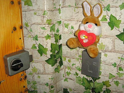 ���������� ���������������