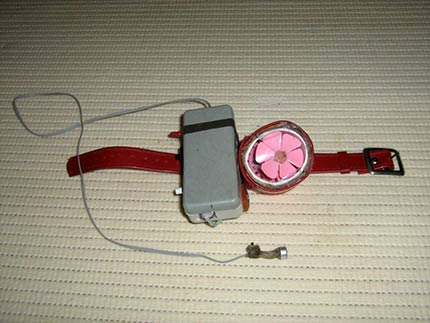 ������ � �����������