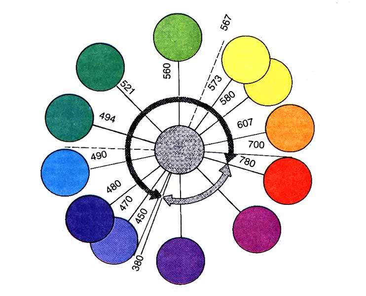 �������� ����