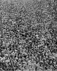 ���������� ����