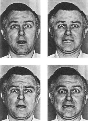 ��������� ������ �� ����: ����� � ���������