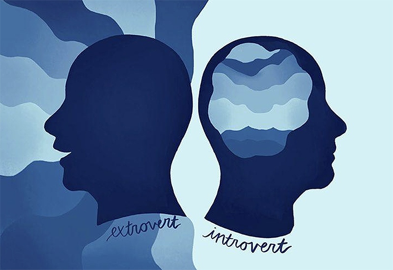 различия эктроверта и интроверта