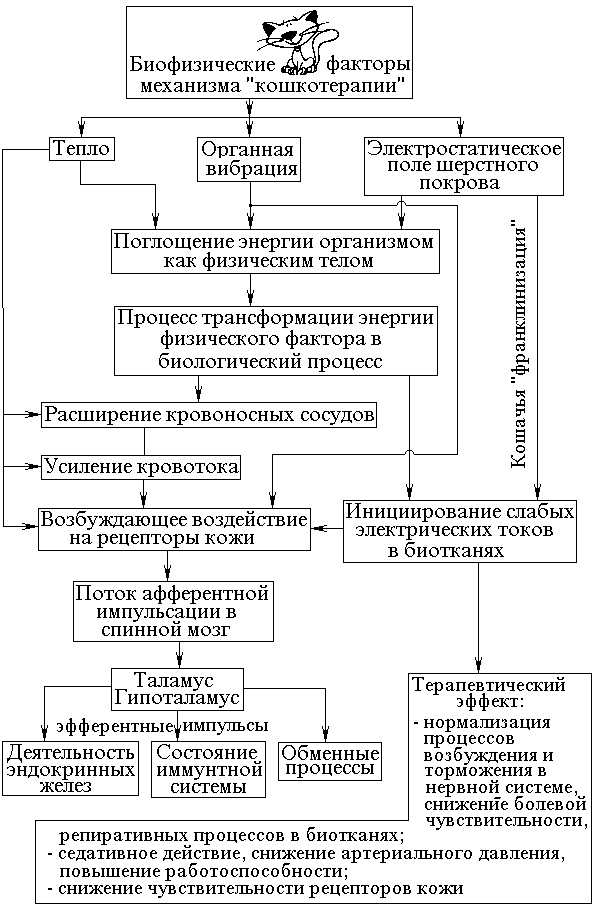 ������������� - ������������