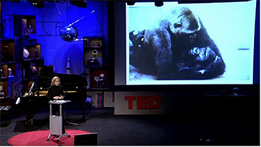 ��� ����� ������