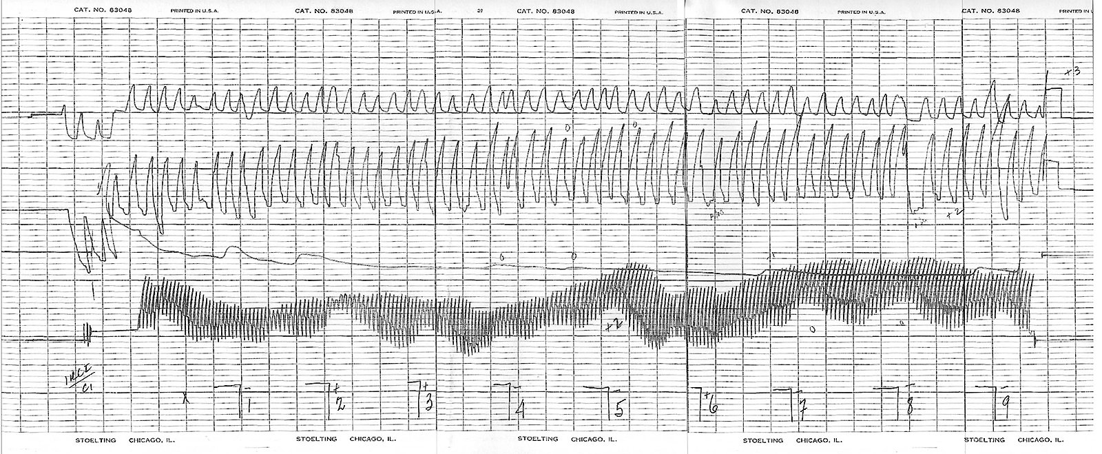 ���� ���� ������� - ���� �� ���������