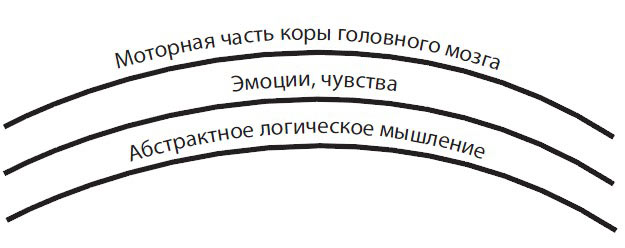 ������� �� �������