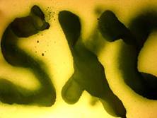 ��������������