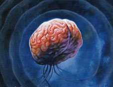 ������������ ���������