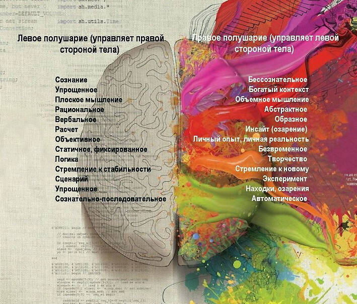 функции больших полушарий