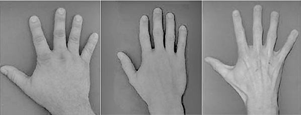 ����������� ���� �� ��������