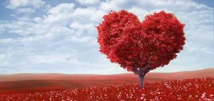 ������������ �����