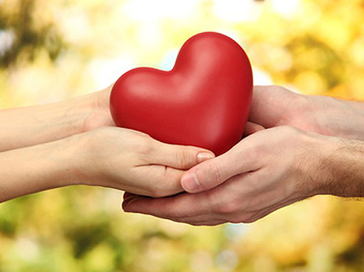 ������������ �����