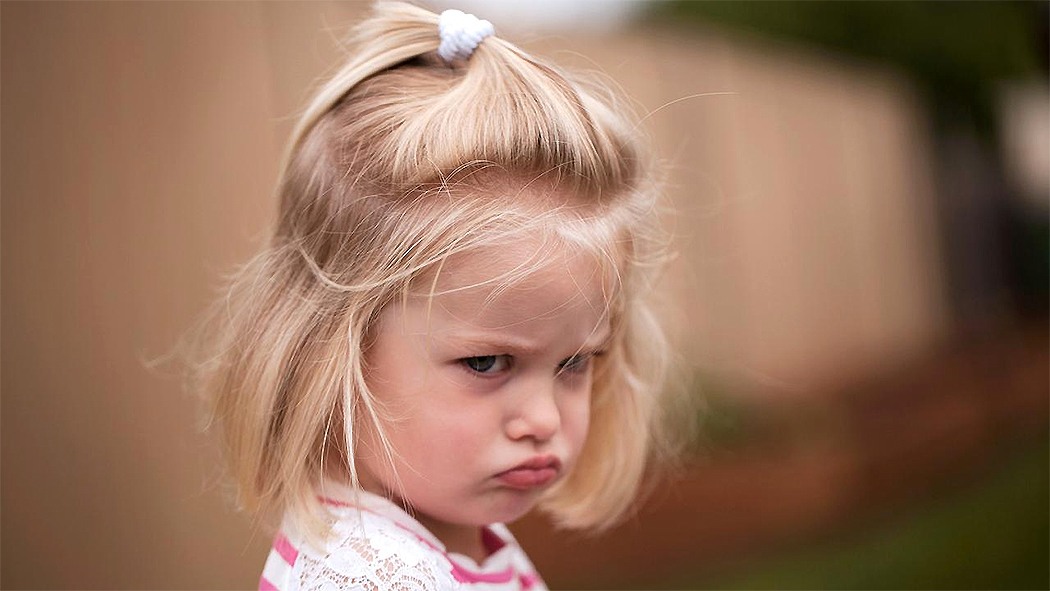 ������� �����������