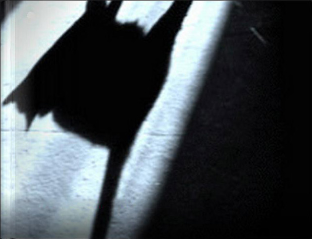 медиа картина мира