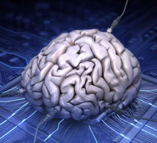 ������������ � ������������ ��������