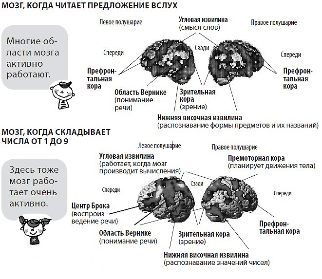 ���������� �����