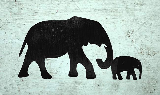 �������������