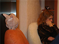 ���������� �����