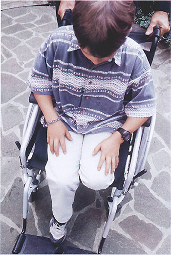 ������ � �����