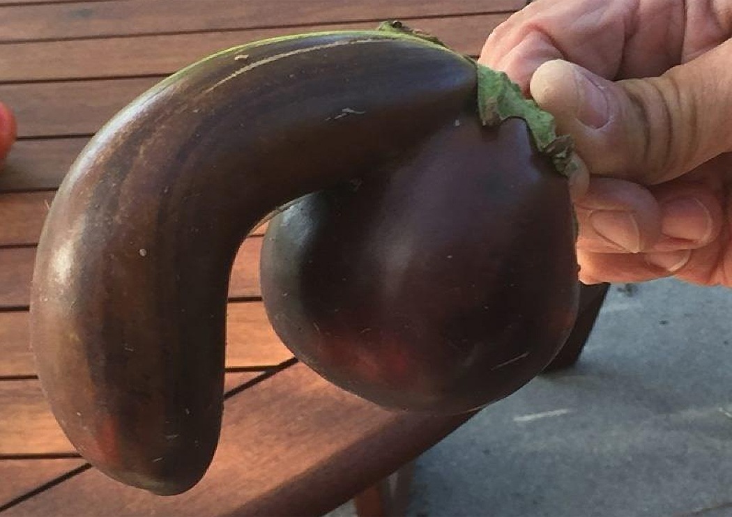 ������� ������ (�������� �����)