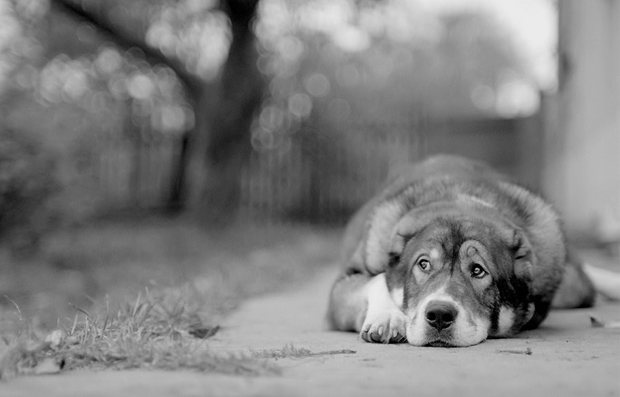 ����� ����� �� ����