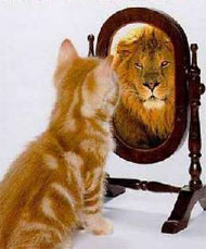 �������� �������������