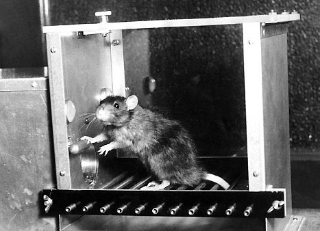 ���������� ��������: ����� ������� �������� � �������