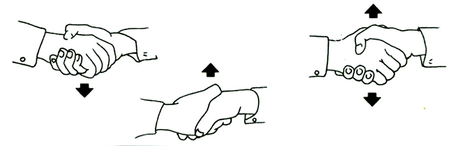 ���� �����������