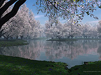 ������� ���������� � ������ � ������������