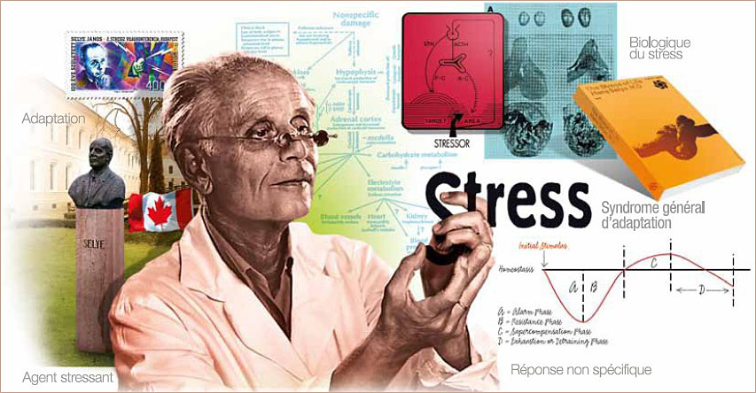 ��������� ������� �����