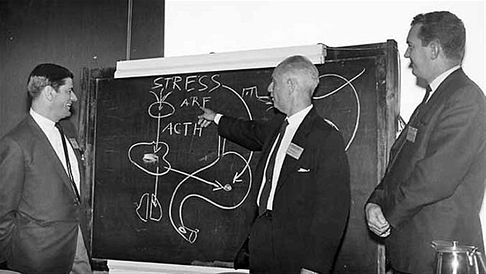 ������������� �������