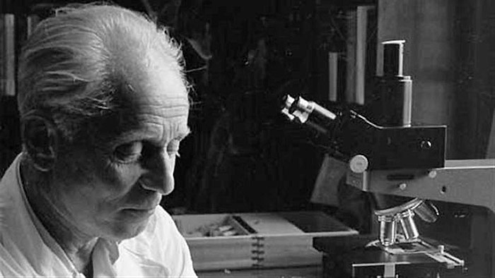 ���� ����� (Hans Selye)